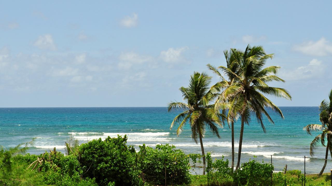 Studio Anse Des Rochers Saint-Francois  Esterno foto